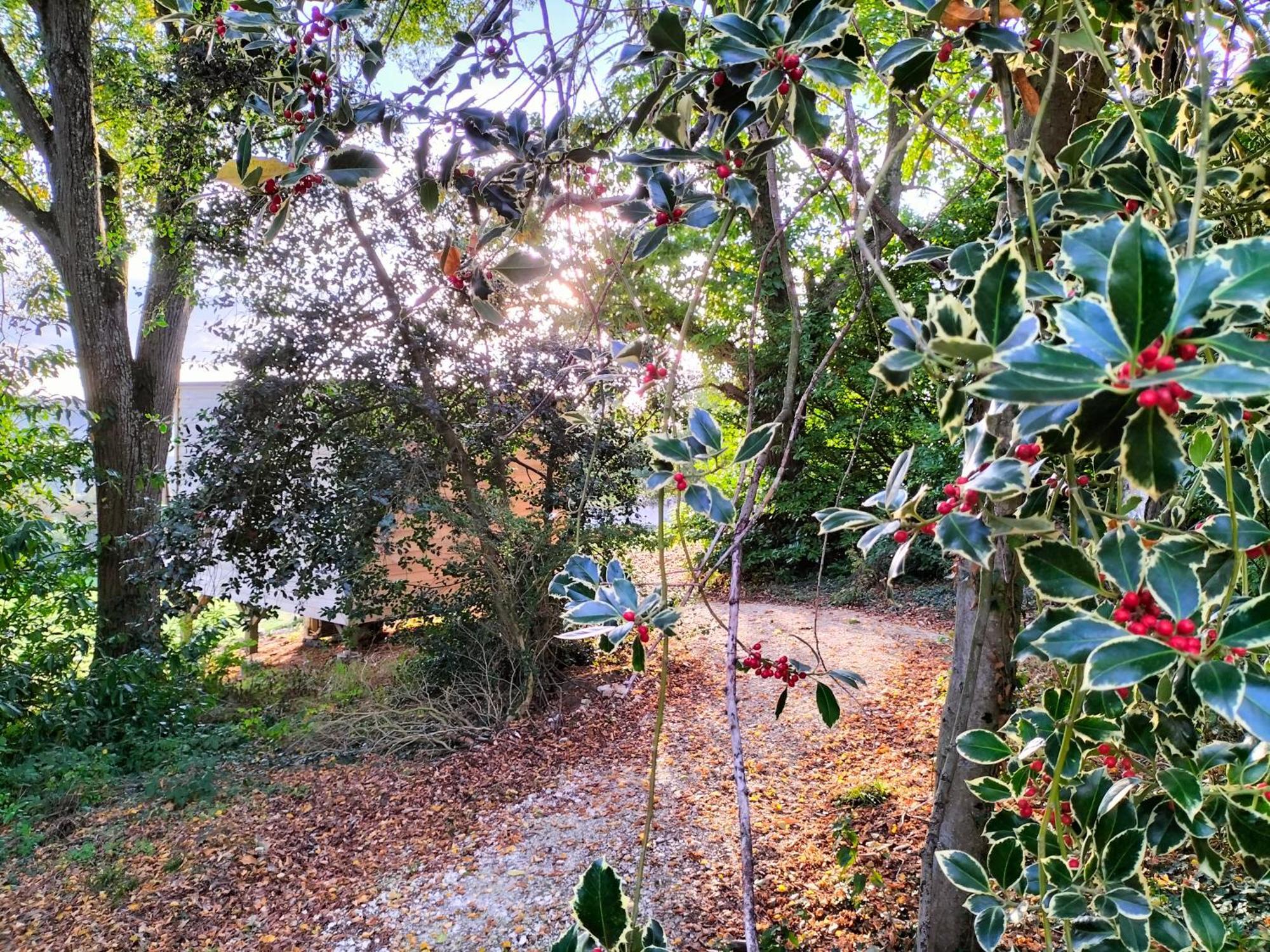 Demeure De La Garenne Montmirail (Marne) Exterior foto