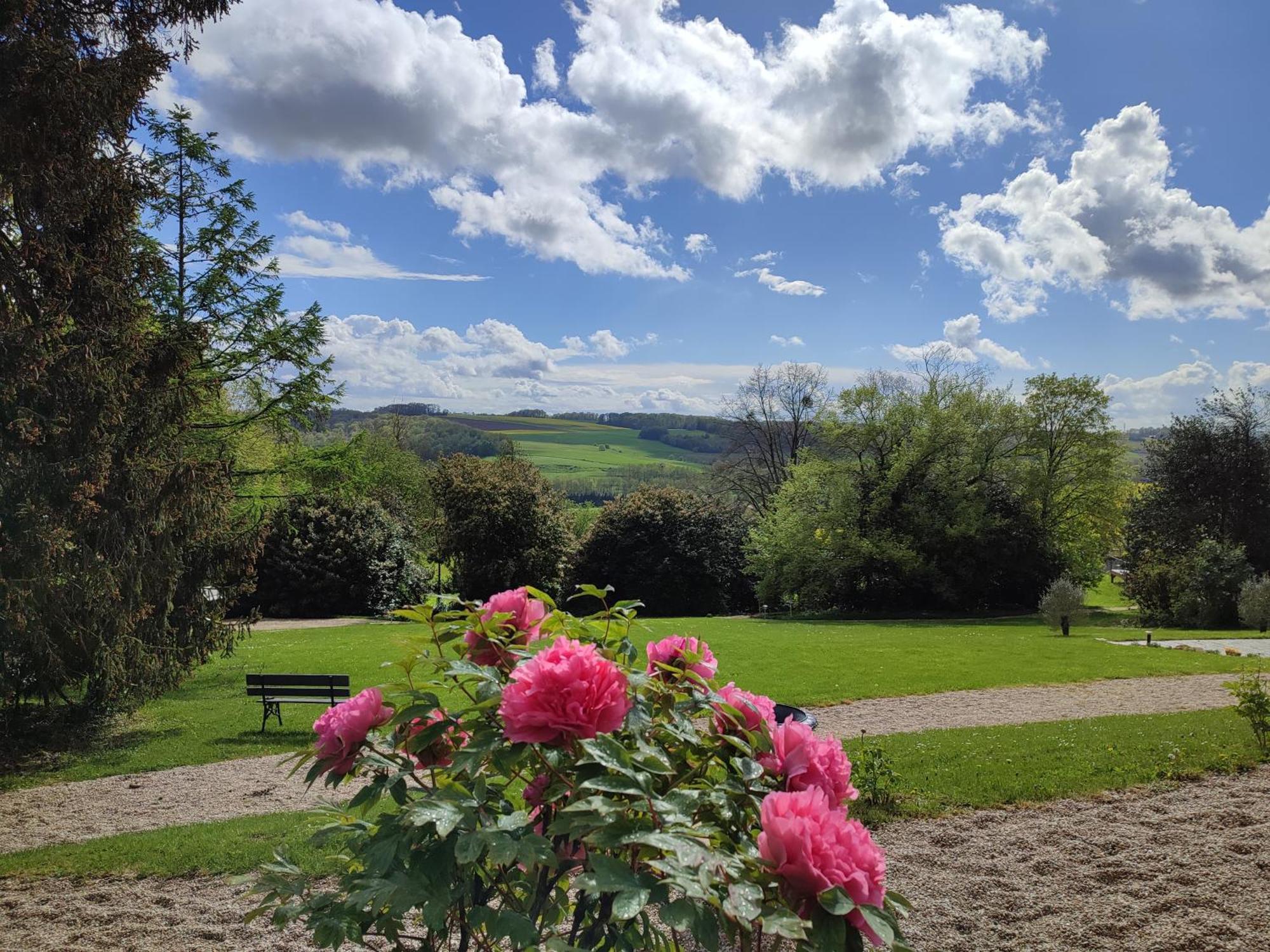 Demeure De La Garenne Montmirail (Marne) Exterior foto